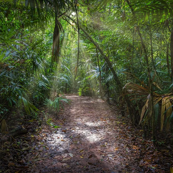 Image related to most ai strategies fail before they start