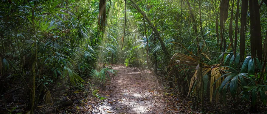 Most AI Strategies Fail Before They Start